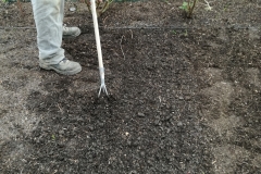 Hengerelt talaj lazítása fűmag vetéshez