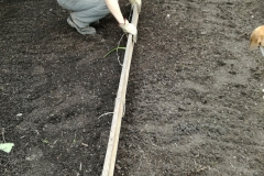 talaj egyengetés fűmagvetésnél